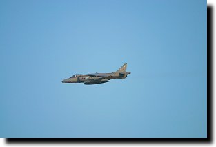 Harrier