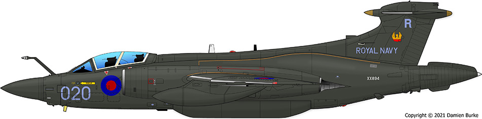 XX894 profile