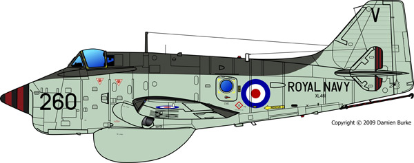 XL481 profile