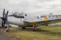 Gannet T.2 XA508 at Baginton, 23rd June 2019; Damien Burke