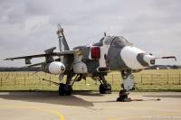 Jaguar GR.3A XX720 at RAF Coltishall, 11th March 2005; Damien Burke