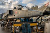 Jaguar T.4 XX845 at GJD Services, 22nd February 2023; Jake Wallace