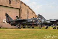 Jaguar GR.1 XZ389 at RAF Cosford, 11th June 2023; Jake Wallace