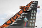 GR.3 XX119, Coningsby, 2007. Port side of that fabulous tail!