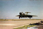 FAW.4 XA635/L of 3 Squadron landing at RAF Sylt in 1960 - this aircraft is the subject of the colour profile on this site.
