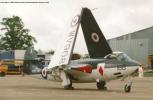 With sterling efforts from British Aerospace, the Royal Navy Historic Flight's Sea Hawk was brought out of storage in 1995 and restored to flying condition by the end of 1996. She appeared at several airshows in 1997, and is pictured here at the 1997 Fighter Meet at North Weald.