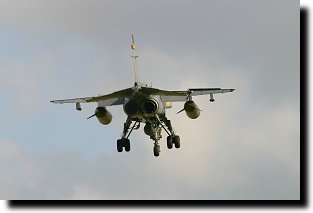 Jaguar on finals