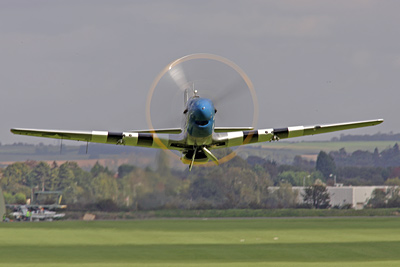 Mustang taking off