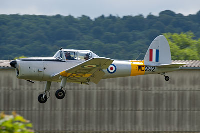 Chipmunk landing