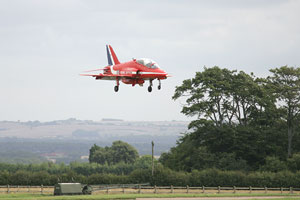 Hawk landing