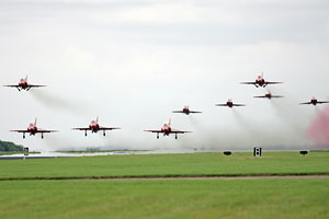 Hawks taking off